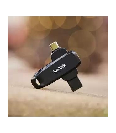 Sandisk Memory Drive Flash 256GB SDDDC6-256G-G46