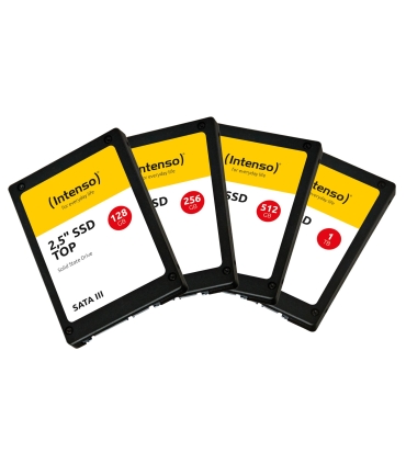 Intenso 256GB SSD 3812440