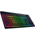 Razer BlackWidow V4 Low-Profile Tenkeyless HyperSpeed ENG