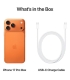 Apple iPhone 17 Pro Max 256GB, oranž