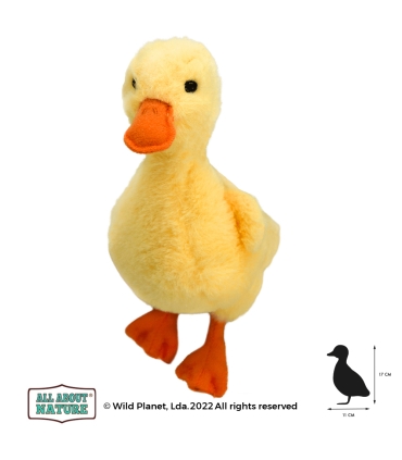 Wild Planet pehme mänguasi pardipoeg 17 cm