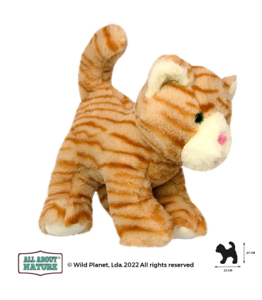 Wild Planet pehme mänguasi, punane kassipoeg 25 cm