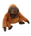 Wild Planet pehme mänguasi, orangutan 22 cm