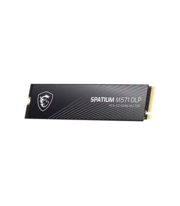 MSI 2TB SSD
