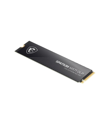 MSI 2TB SSD