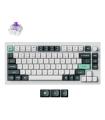 KEYCHRON Q1 HE Q1H-P1