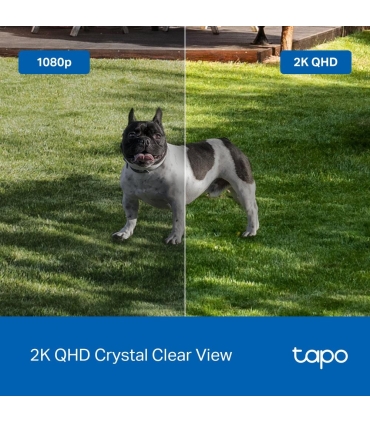 TP-LINK WRL CAMERA SMART H.264/TAPO C425 