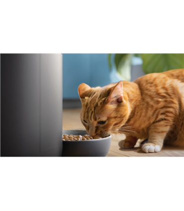 Philips Smart Feeder with Camera PAW5320/02 5000 Series