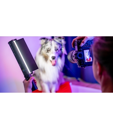 Newell LED-lamp RGB Kathi III