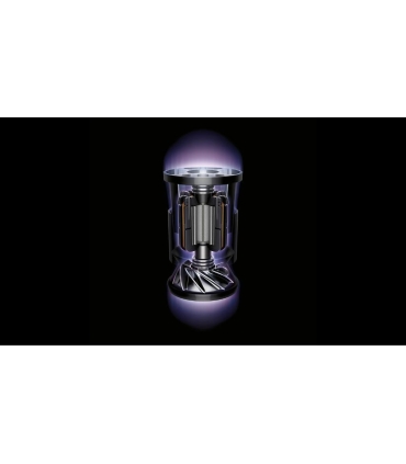 Dyson Cyclone V10 Submarine SNk/Ir/Co wet&dry