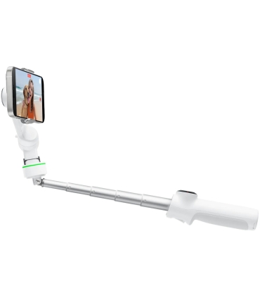 Insta360 Flow 2 Pro Standard Bundle, valge