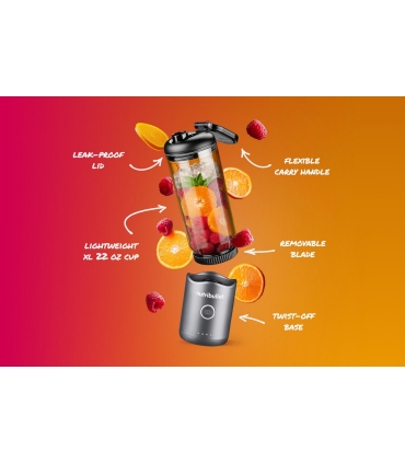 Nutribullet NBP013GM