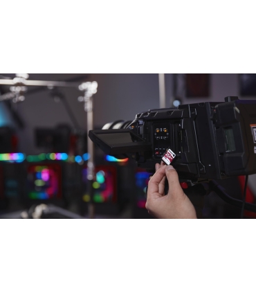 Kingston SDXC 256GB C10/SDR2/256GB