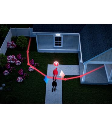 Reolink Camera | Floodlight Series F751W | Floodlights | 8 MP | F2.8mm/F1.6 | IP66 | Micro SD, Max. 512GB