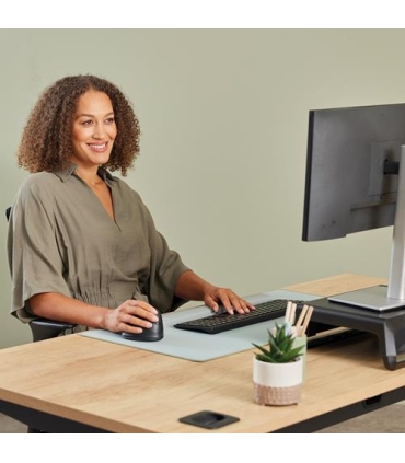 Fellowes Vertical Ergo M RT 100143579