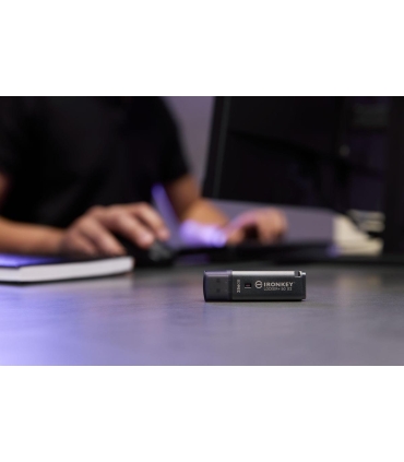 Kingston Drive Flash 256GB IKLP50G2