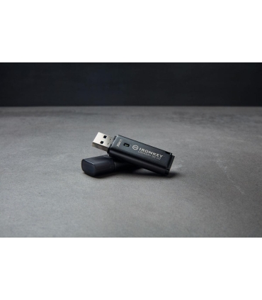 Kingston Drive Flash 256GB IKLP50G2