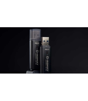 Kingston Drive Flash 256GB IKLP50G2