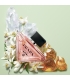 Prada Paradoxe EDP (50mL)