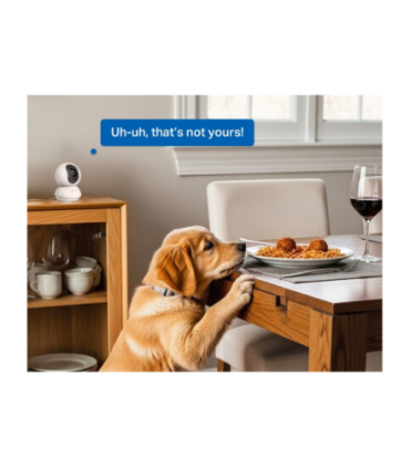 TP-LINK Tapo C250 | Pan/Tilt AI Home Security Wi-Fi Camera | PTZ | 8 MP | 4mm/F1.6 | H.265 | MicroSD Card up to 512 GB