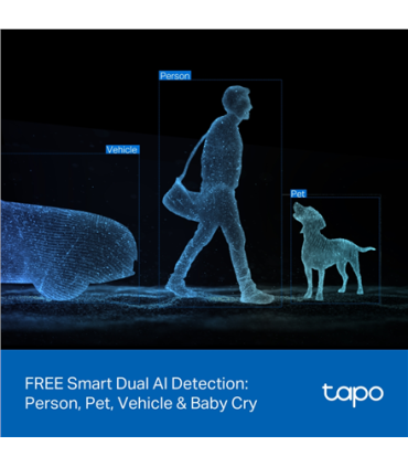 TP-LINK | Tapo C245D | Dual Lens Pan/Tilt Security Camera | Dome | 3 MP | 3.1mm/F1.6 | MicroSD Card up to 512 GB