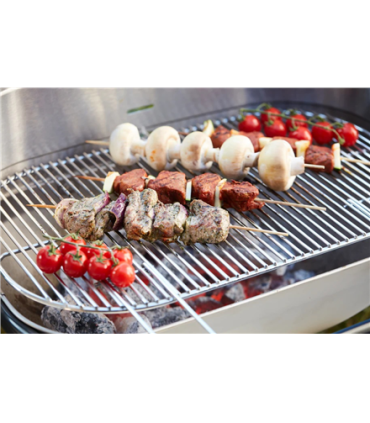 Barbecook Charcoal Barbecue Loewy 55 SST, 59.8 x 35.4 x 101 cm BC-CHA-1004