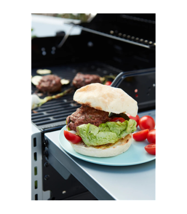 Barbecook Gas Barbecue Spring 2002, 111 x 55 x 115 cm BC-GAS-2009