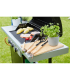 Barbecook Gas Barbecue Spring 3112 with Storage, 115 x 55 x 133 cm | BC-GAS-2002