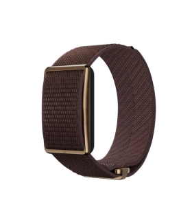 Polar Loop Gen2