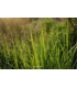 Fujifilm Fujinon XF 23mm f/2.8 R WR objektiiv, must