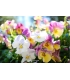 Fujifilm Fujinon XF 23mm f/2.8 R WR objektiiv, must