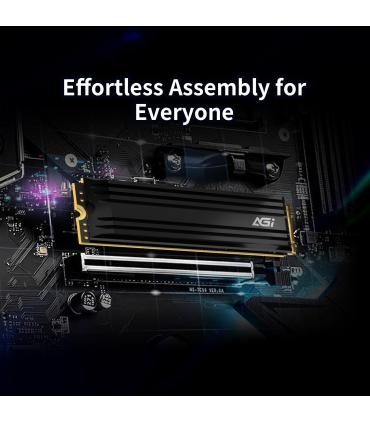 AGI AGI1T0G44AI828-CB 1TB SSD
