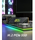 AGI AGI1T0G43AI818-CB 1TB SSD