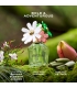 Marc Jacobs Daisy Wild EDP (50mL)