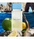 Dolce & Gabbana Light Blue EDT (100mL)