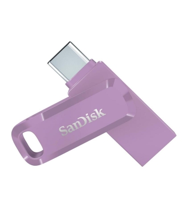 Sandisk Memory Drive Flash 256GB SDDDC3-256G-G46L