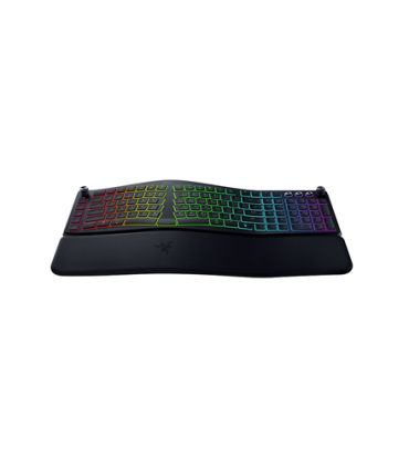 Razer Pro Type Ergo US