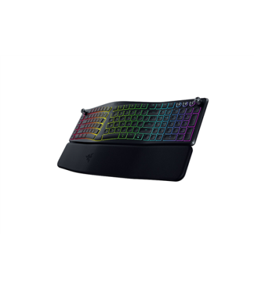 Razer Pro Type Ergo US