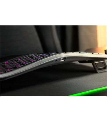 Razer Pro Type Ergo US