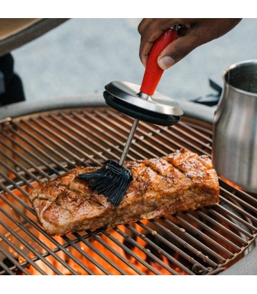 Kamado Joe tugevdatud terasest pintseldamisnõu pintsliga