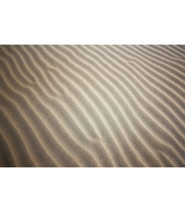 Kodak Snapic A1, valge
