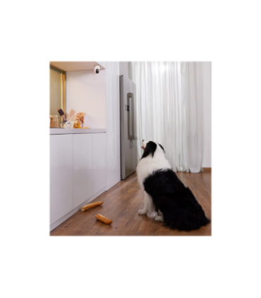 Anker Eufy | Security Indoor Camera | Cam 2K Pan & Tilt | Tabletop/Ceiling-Mounted | H.265, H.264 | SD card, Max 128GB