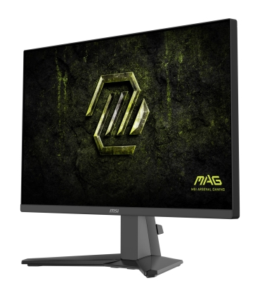 MSI 23,8" MAG245FX24