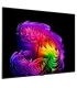 LG OLED65G61LW 4K OLED