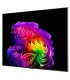LG OLED65G61LW 4K OLED