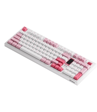 AKKO WRL 5098B PRUNUS/LANNESIANA 6925758630924 ENG