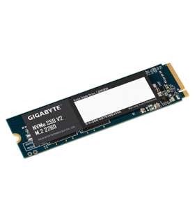 Gigabyte 256GB SSD