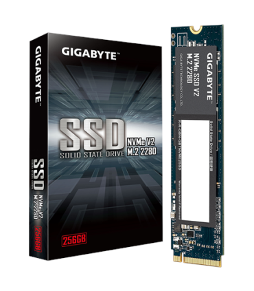 Gigabyte 256GB SSD