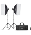 Godox stuudiovälk MS300V F Dual
