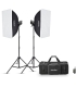 Godox stuudiovälk MS300V F Dual